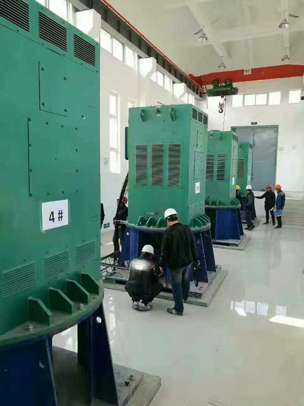 YKK5604-6某污水处理厂使用我厂的立式高压电机安装现场