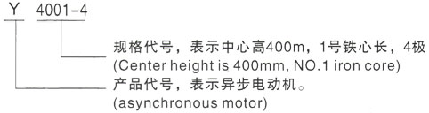 西安泰富西玛Y系列(H355-1000)高压YKK5604-6三相异步电机型号说明